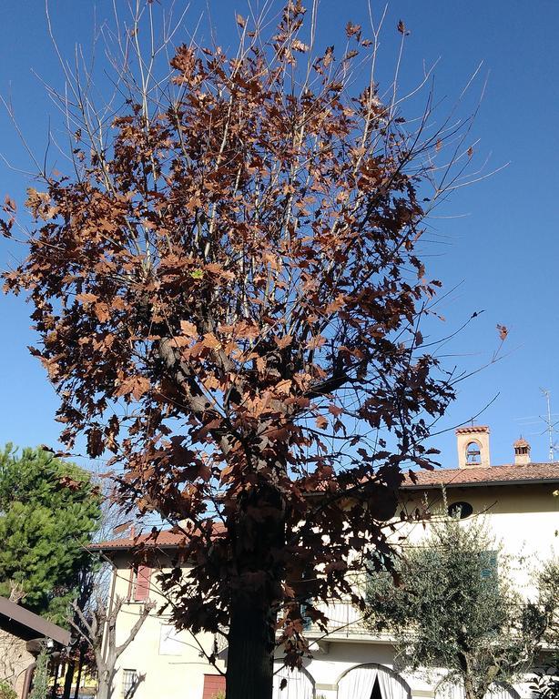 Passirano Cascina Corteprimavera, B&B Del Baliot المظهر الخارجي الصورة