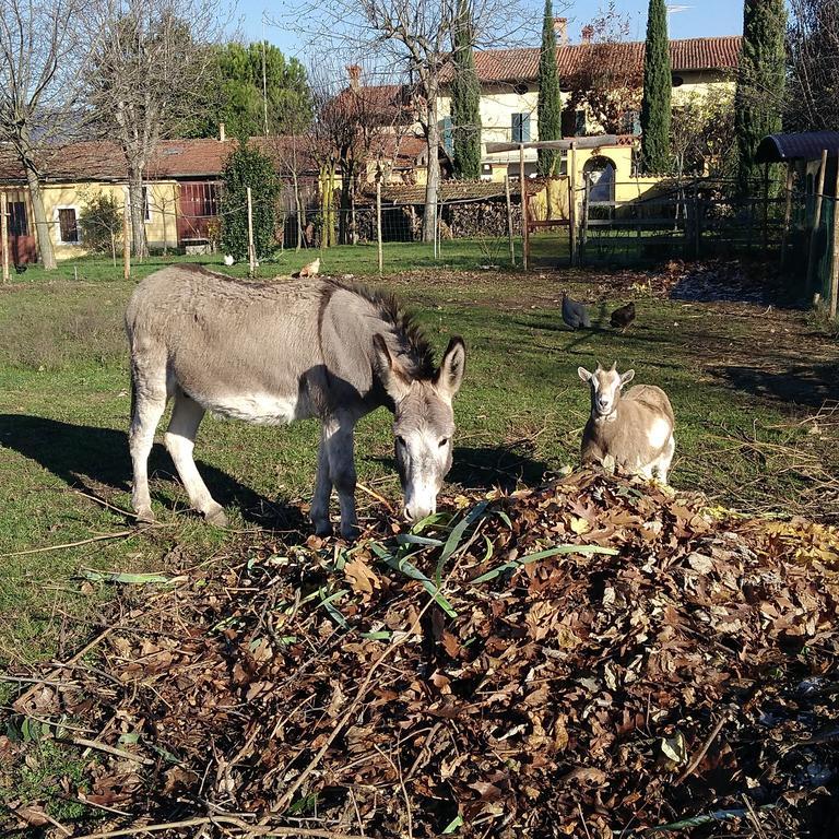 Passirano Cascina Corteprimavera, B&B Del Baliot المظهر الخارجي الصورة
